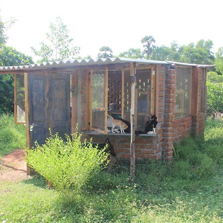 Beyond Community Apartment Auroville Exterior photo