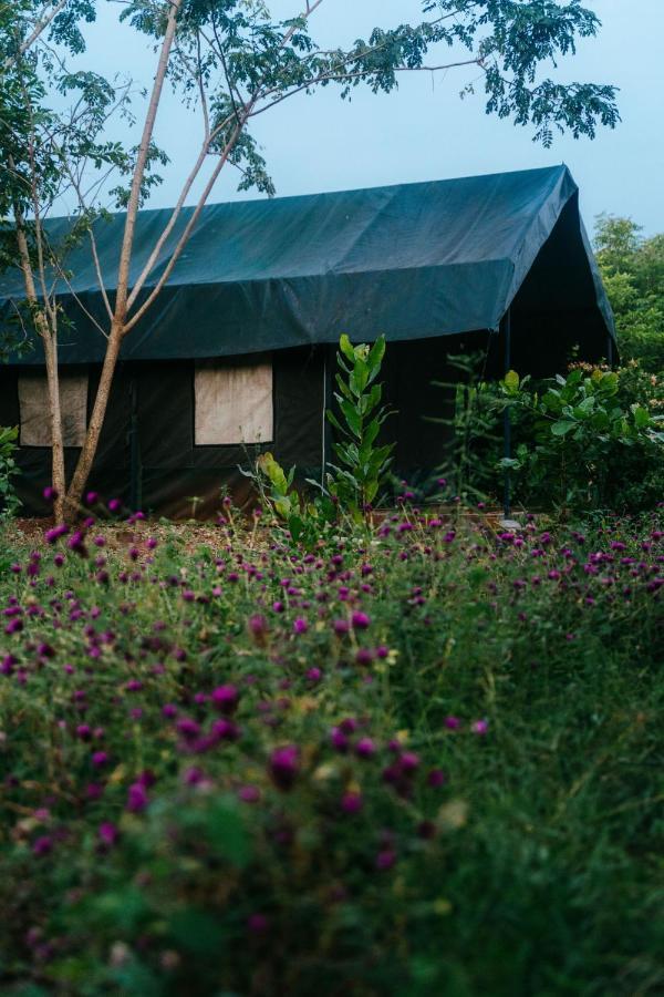 Beyond Community Apartment Auroville Exterior photo