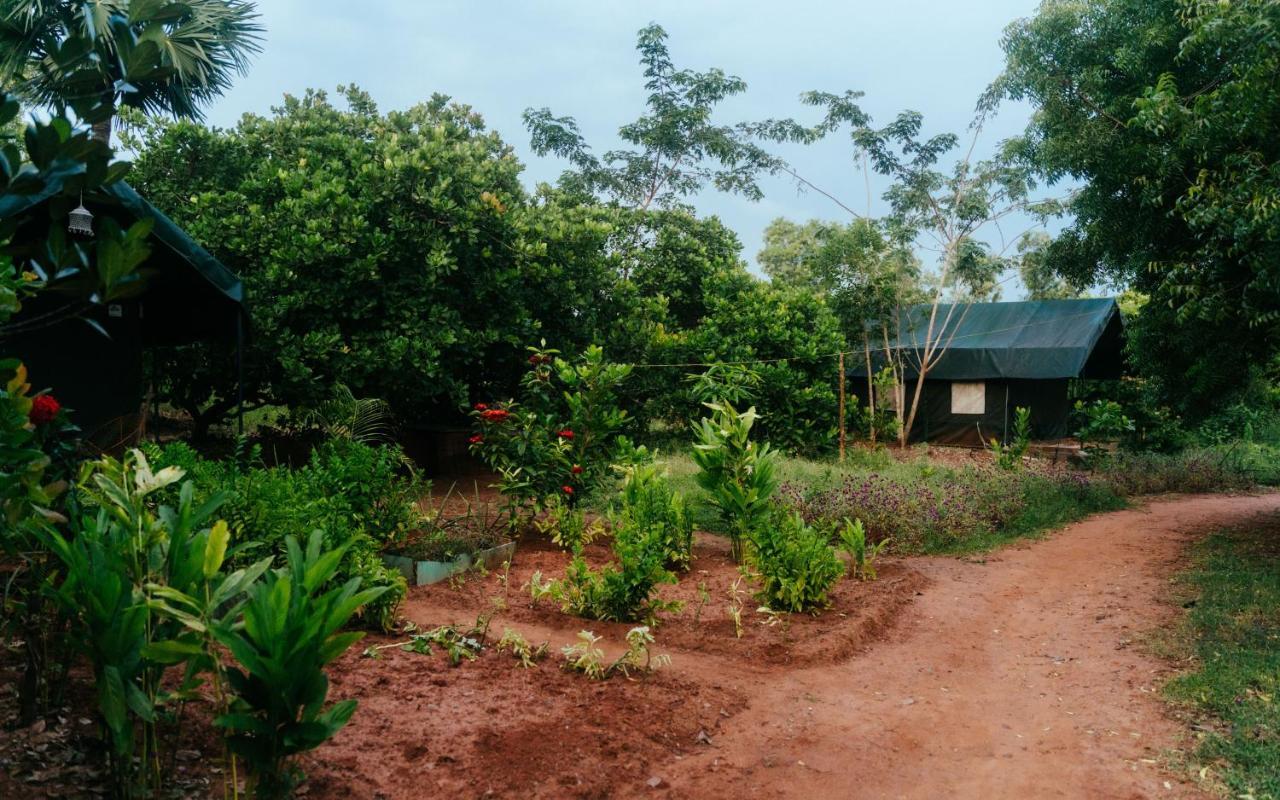 Beyond Community Apartment Auroville Exterior photo