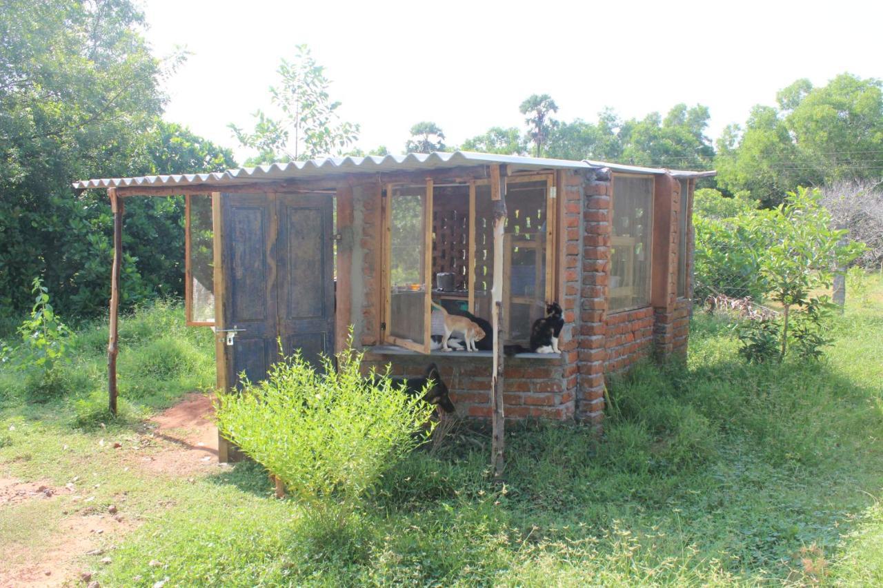 Beyond Community Apartment Auroville Exterior photo