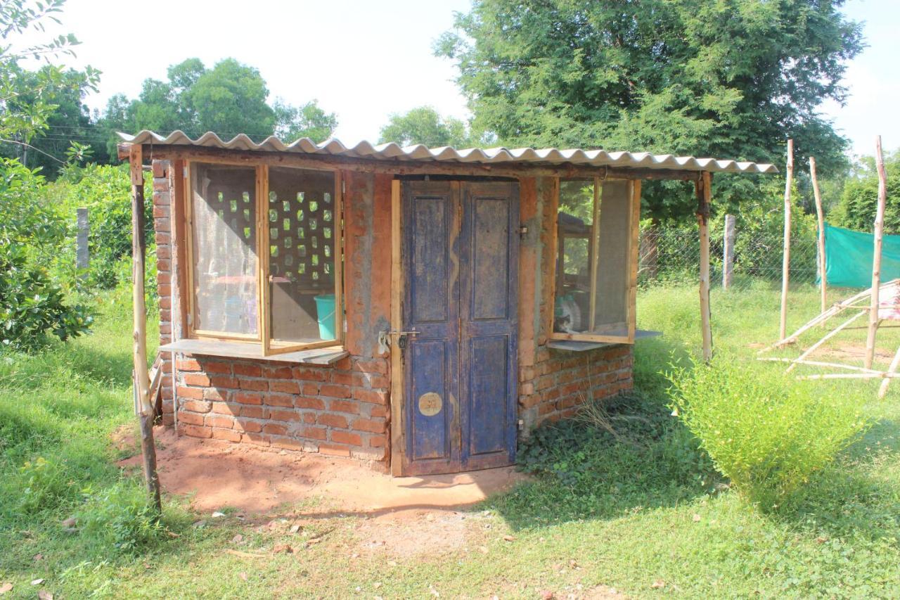 Beyond Community Apartment Auroville Exterior photo